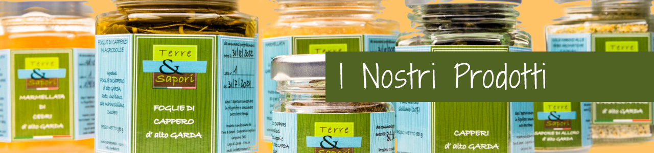 Shop Banner