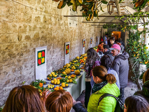 Edizione 2017