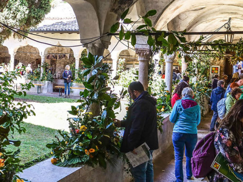 Edizione 2019