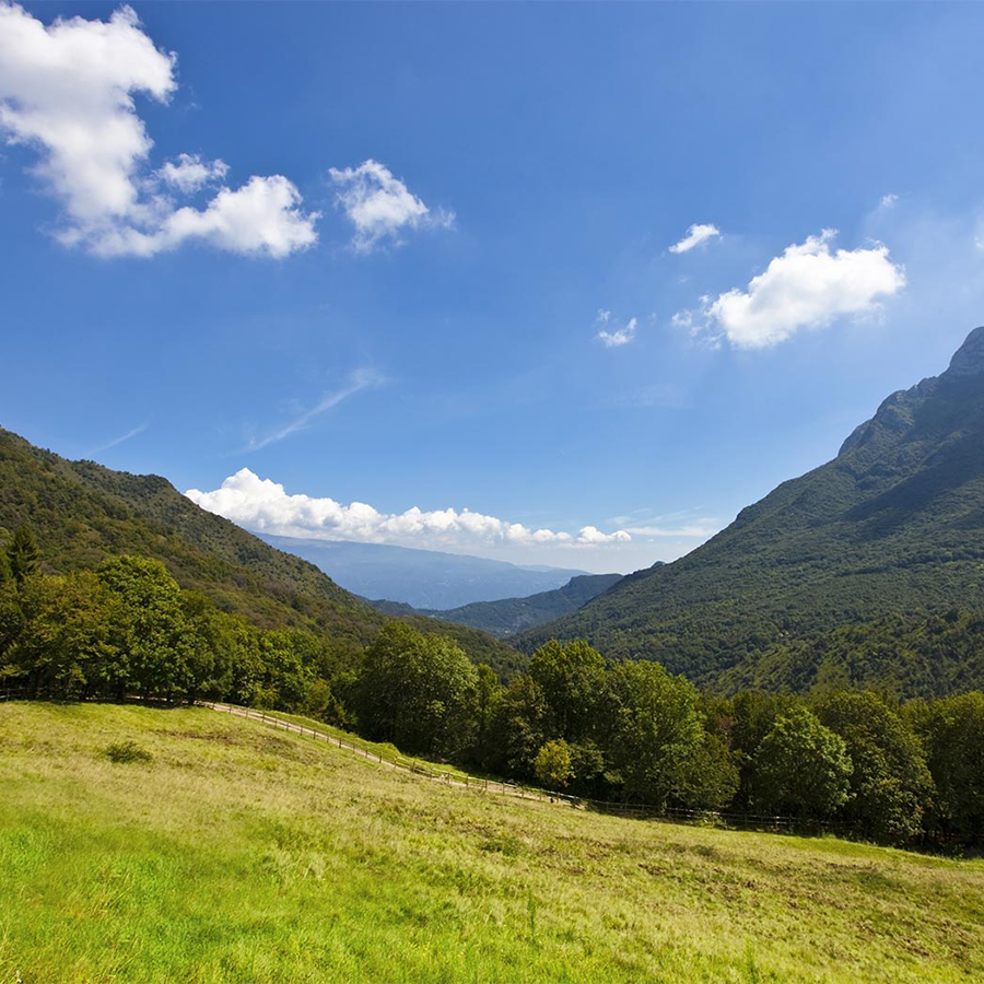 Il Monte 1