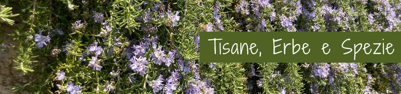 Shop Banner